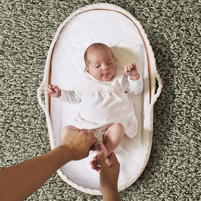 Recertified - The Moses Basket